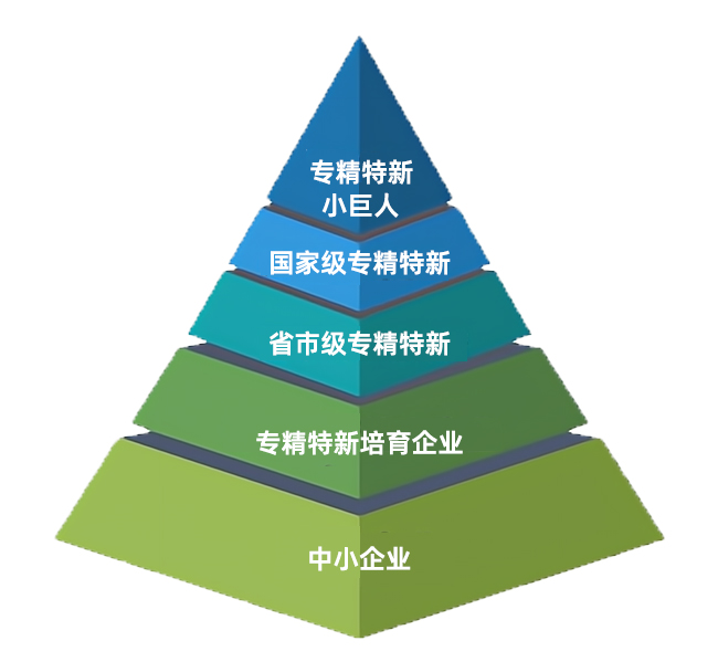 省級(jí)名單！莒南這些優(yōu)秀企業(yè)上榜-山東省2023年度專(zhuān)精特新中小企業(yè)公示名單